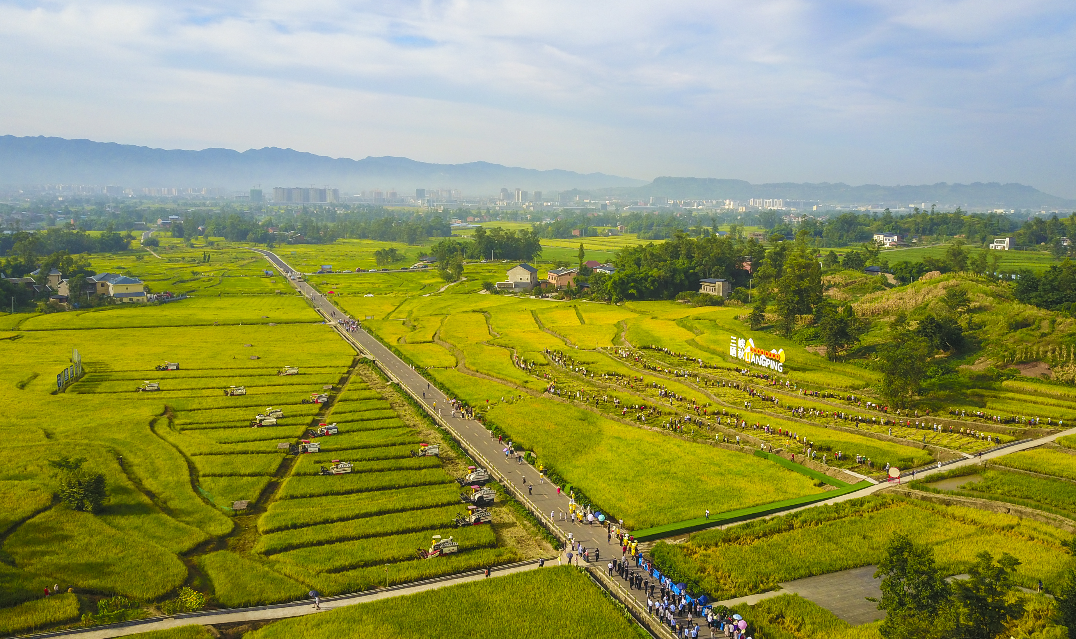 8月7日,第三届长江三峡(梁平)晒秋节活动开镰现场(无人机航拍)。记者 熊伟 摄.jpg